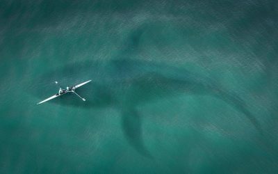 Why compliance is key to managing risk